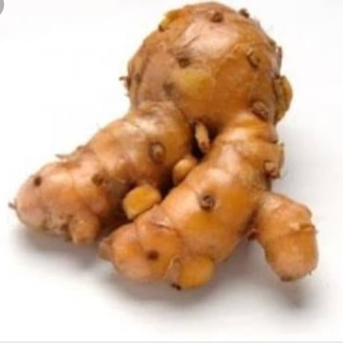 

Temulawak segar 100gr⠀⠀⠀⠀⠀