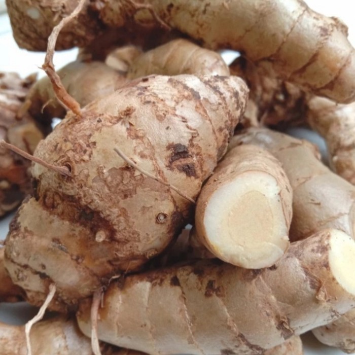 

temu putih segar per 500gram, CURCUMA ZEDORA fresh Kuyit putih