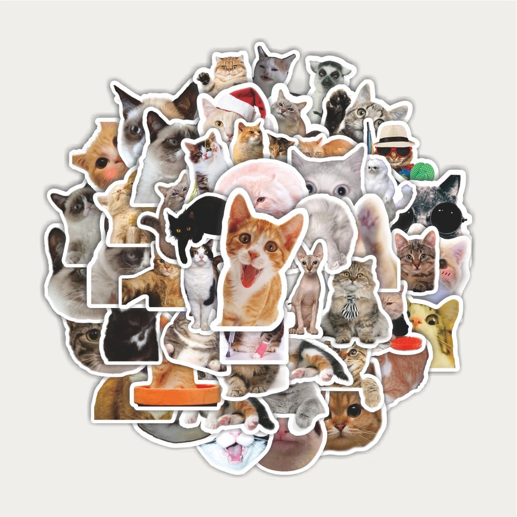 

Sticker Pack Stiker Hewan Funny Cat/Kucing | Sticker TUMBLR | Stiker LAPTOP KOPER HELM