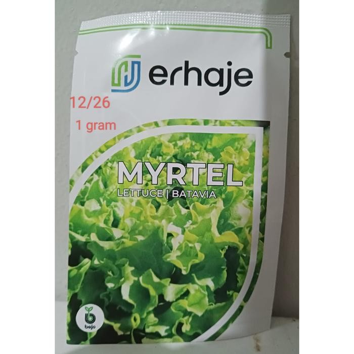 Selada Myrtel Bejo Seed 1 gram