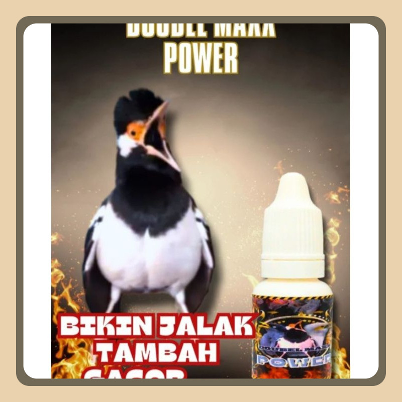 DOUBLE MAX POWER PENGGACOR BURUNG JALAK