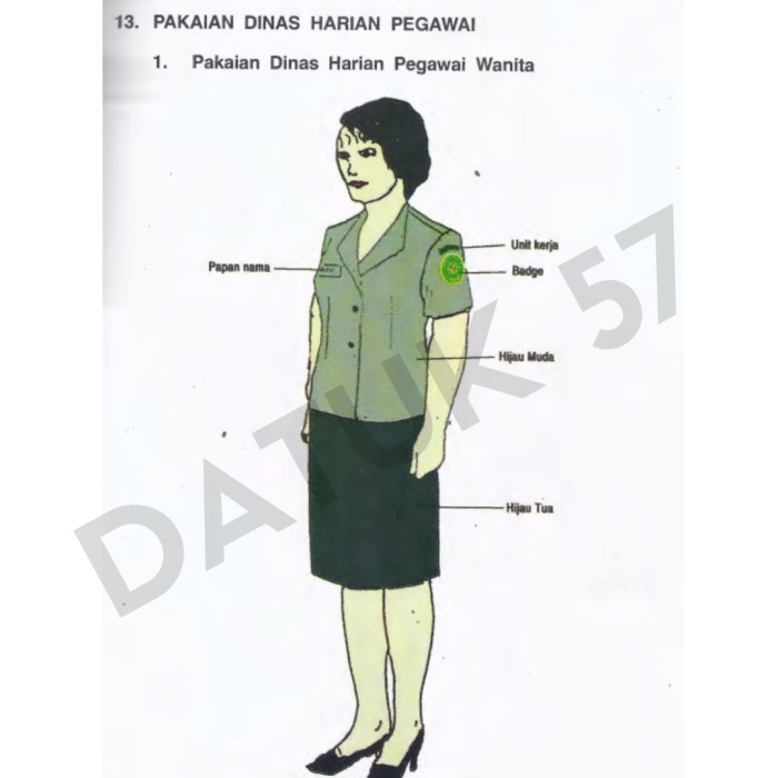 laris -Seragam Kemeja PDH MA Mahkamah Agung (PRIA & WANITA) - Cowok Hijau Pdk, XL