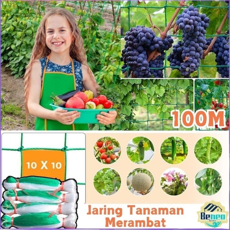 3.5M*100M / Jaring Untuk Tanaman/Jaring Tanaman Rambat Jaring Rambatan Tanaman Jaring Tanaman Meramb
