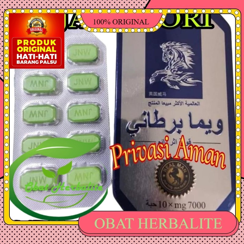 KUDA LIAR ARAB 100% ORIGINAL