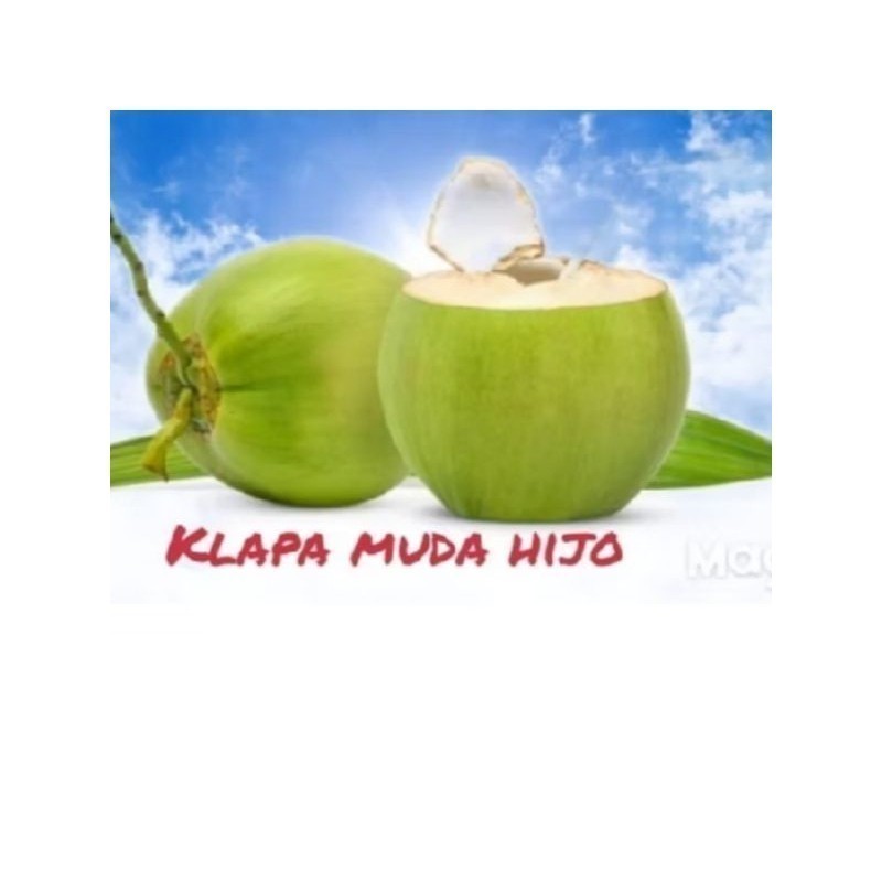 

termurah kelapa muda kelapa hijau untuk kesehatan ready stok #terlaris