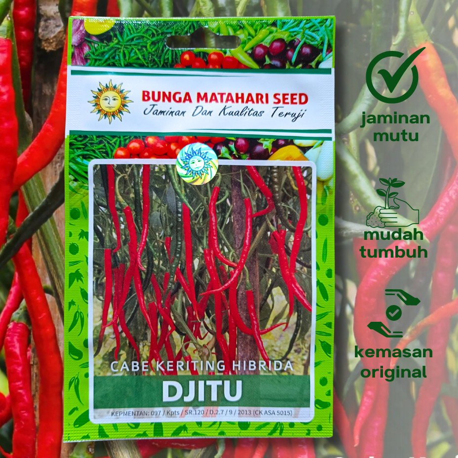 Benih SP Cabe Keriting DJITU F1 isi 30 Biji Bibit Hibrida Cap Bunga Matahari Seed Small Pouch