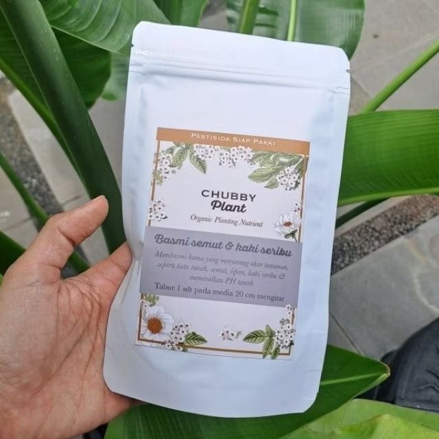 chubby plant basmi semut kaki seribu nematoda cicak kodok ulat tanah insektisida tanaman hias mawar 