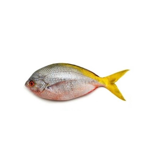 

Ikan Ekor Kuning Segar 1kg