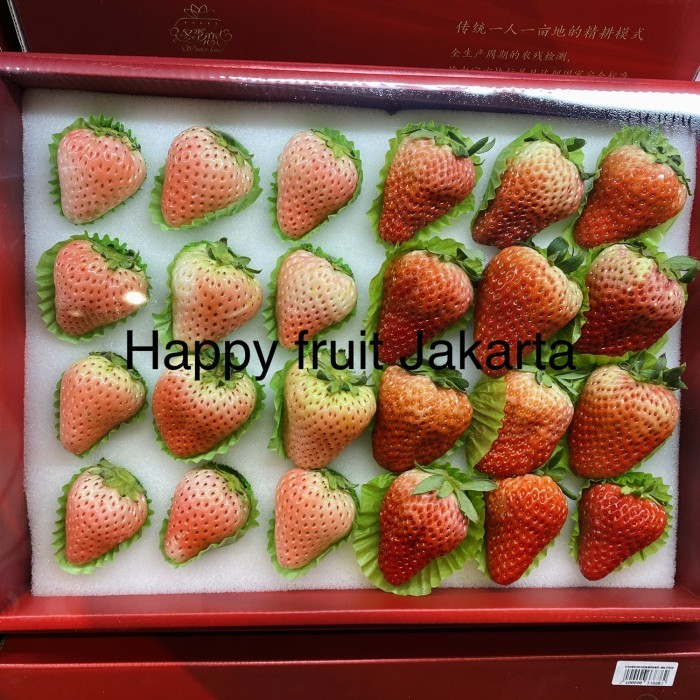 

Promo Strawberry super Mix | strawberry jumbo fresh import 900grm