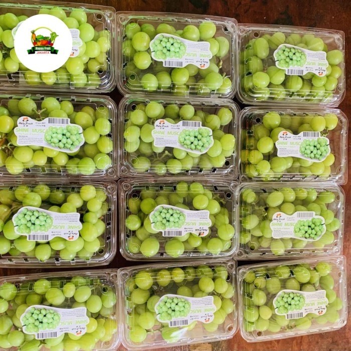 

Anggur shine muscat | Buah anggur Hijau shine muscat manis pack500 grm