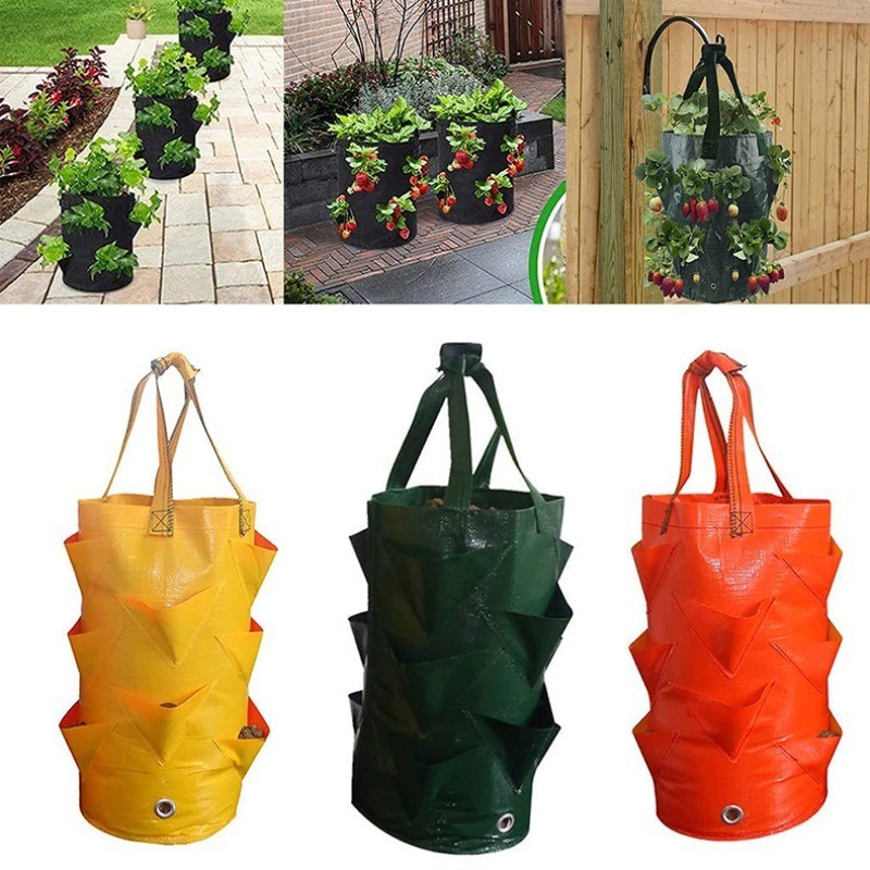 3 Gallon Strawberry Potato Flower Planter Bag, Reusable Planter Pot, PE Growing Bags for Vegetable F