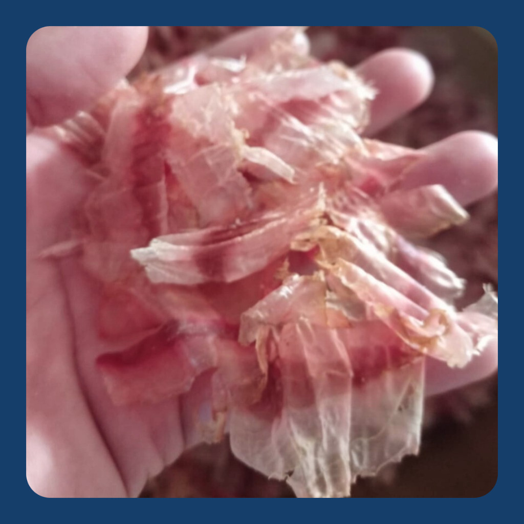 

Katsuobushi Premium 500gr (Grade A)