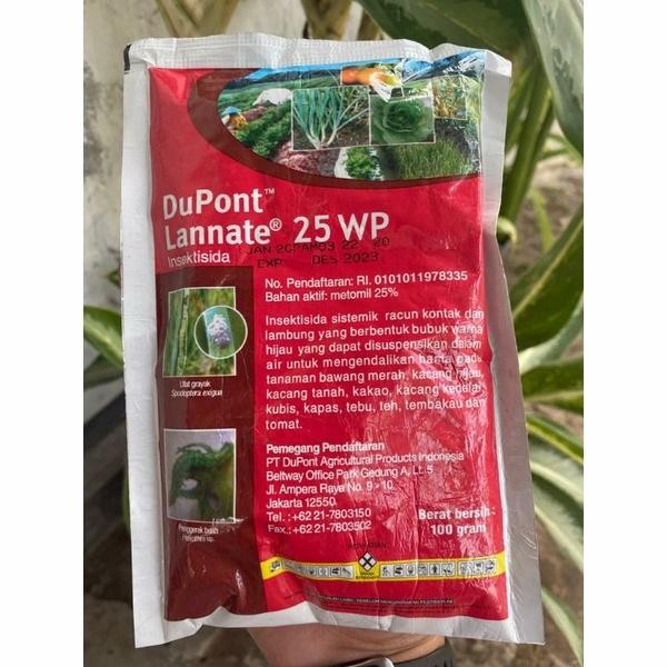 insektisida sistemik Hama serangga Kutu putih kebul ulat semut kecoa - Dupont Lannete