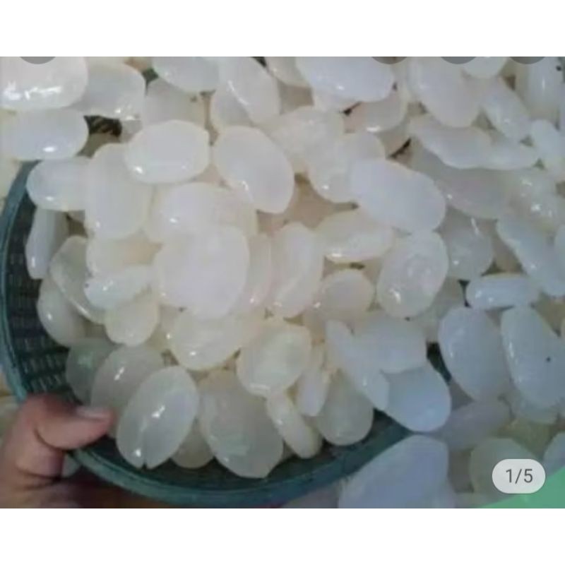 

kolang Kaling segar buah arten press