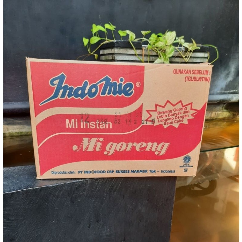 

Indomie Goreng Special (Karton)