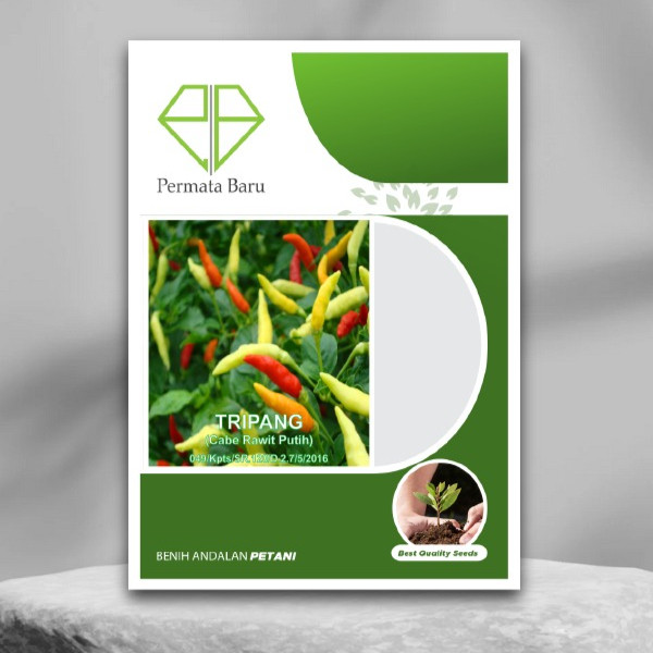 Benih Cabe Rawit Putih TRIPANG 10 Gram Biji Bibit Permata Baru