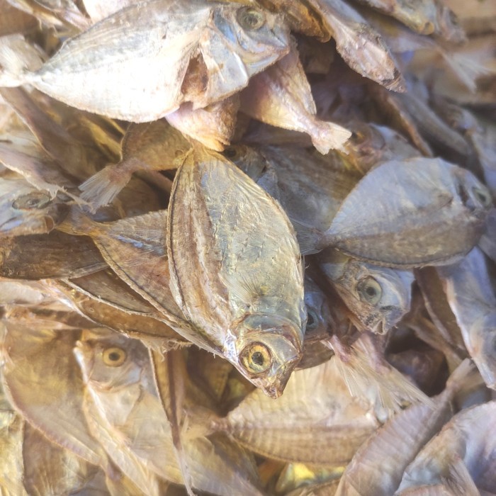 

ikan kering bete bete pasar online makassar