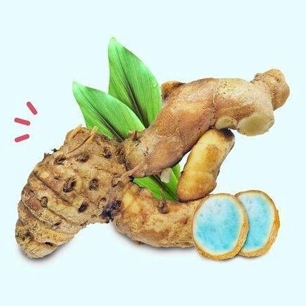 

Termurah Temu hitam basah segar 250 gram kunyit kunir temu ireng siap ambil ke kebun