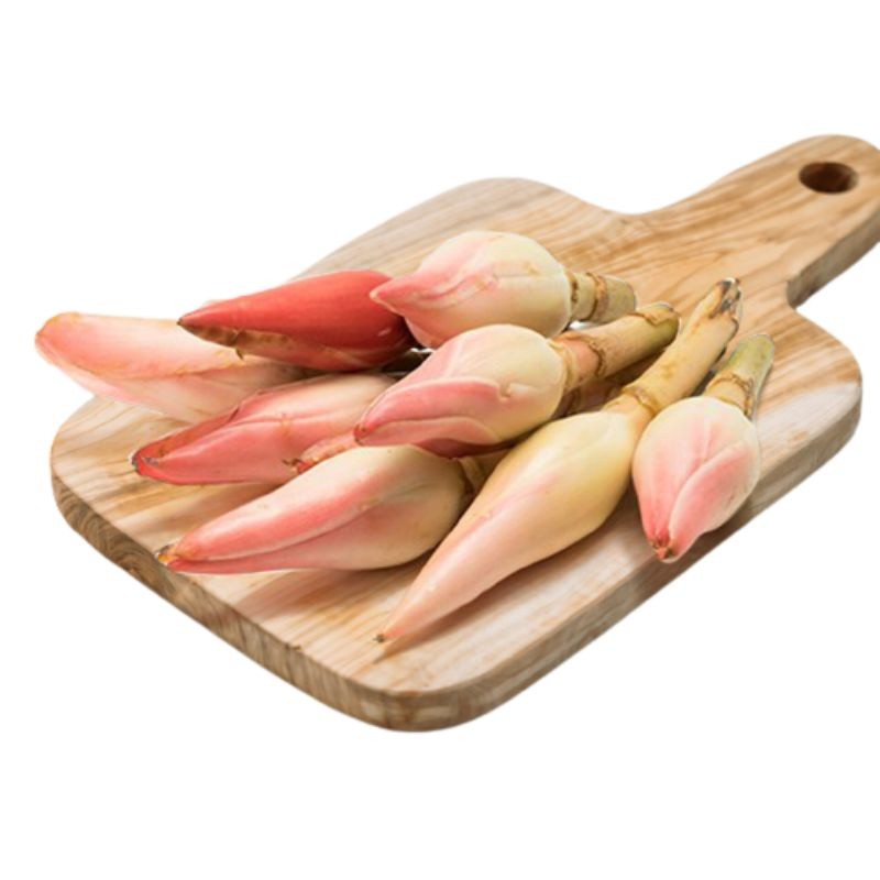 

Termurah Bunga kecombrang 1kg segar bunga honje rombeh combrang