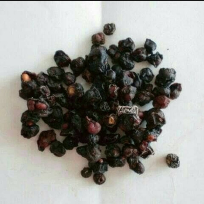 

[Best Seller] 100 G GR GRAM WU WEI ZI SCHISANDRA CHINENSIS FRUIT FRUCTUS SCHISANDRAE