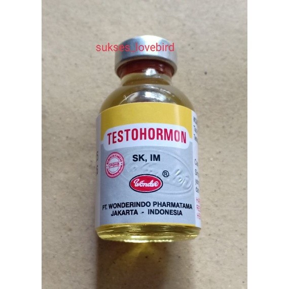 gw42ed Testohormon 20 ml