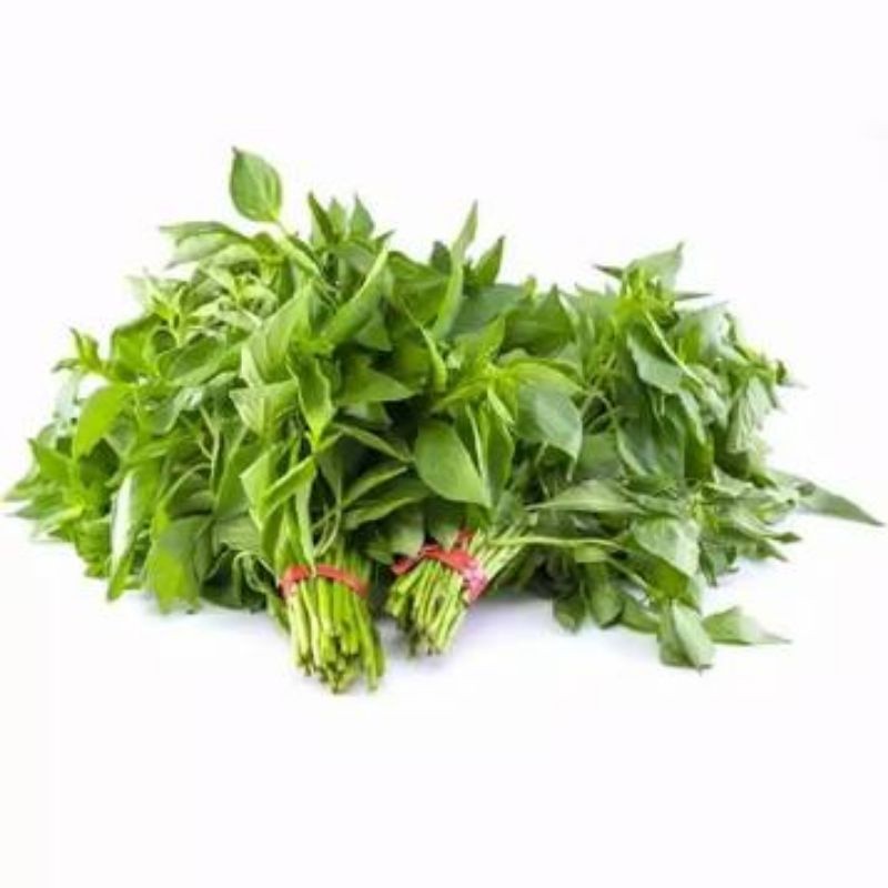 

Daun Kemangi – Segar dan Aromatik untuk Menambah Rasa