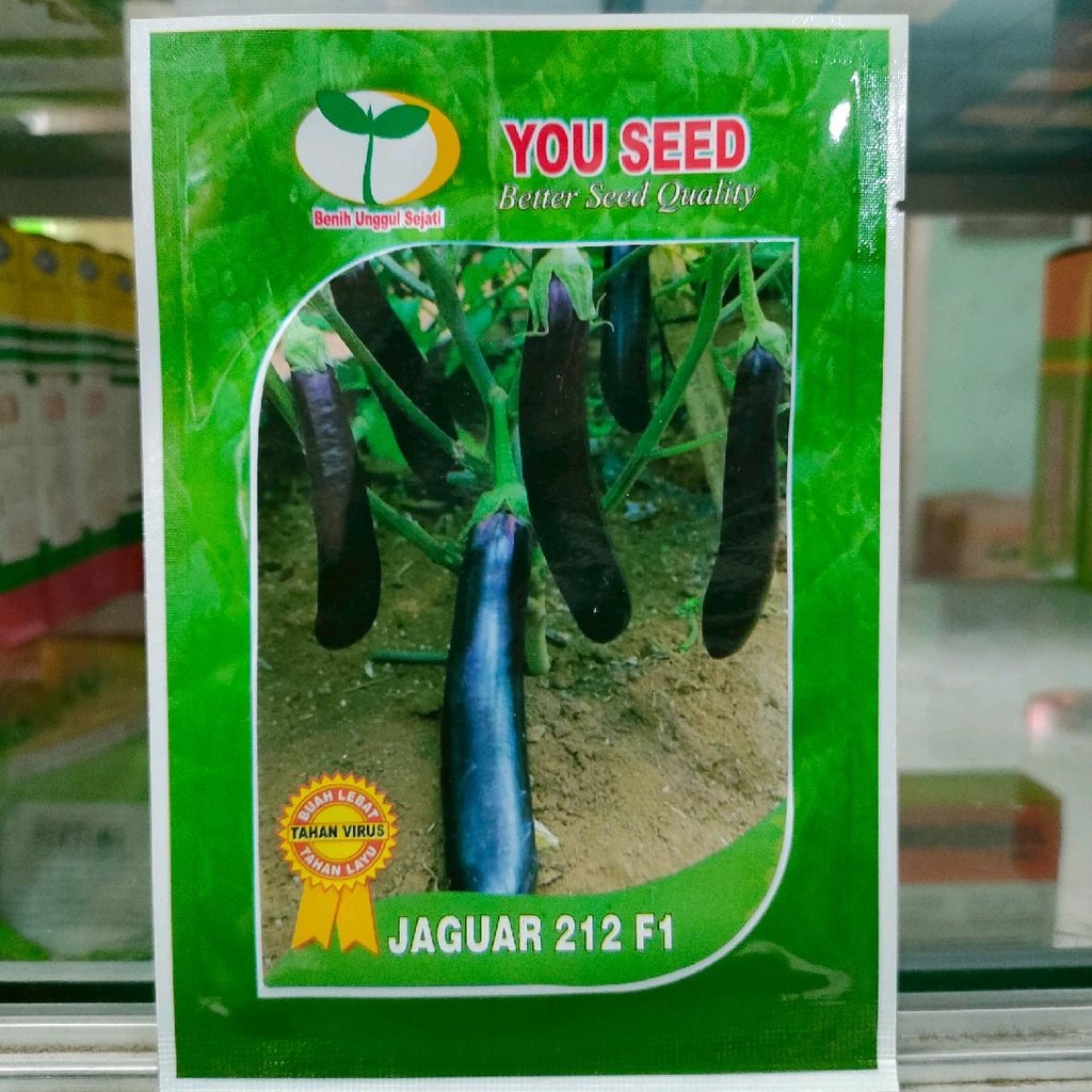 

Terong Jaguar 212 5gr Hibrida Original Pabrik You Seed Ungu Benih