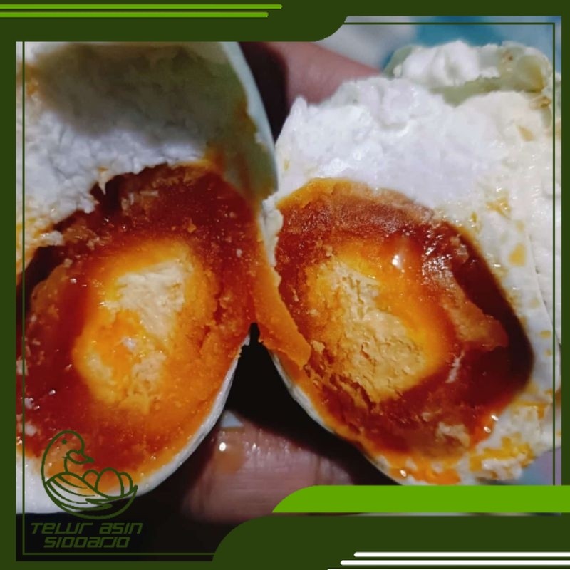 

TELUR ASIN OMEGA size besar