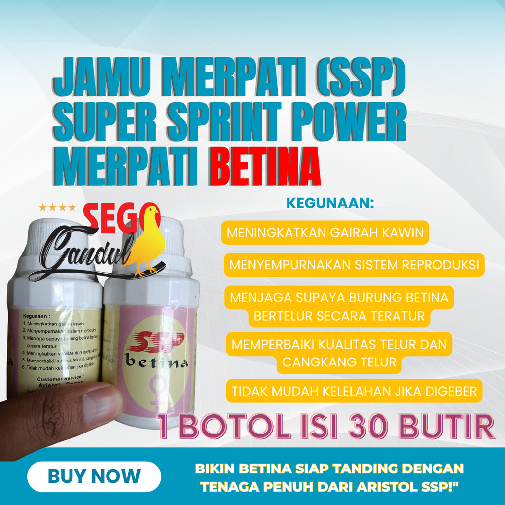 Aristol Jamu Merpati Super Sprint Power (SSP) Merpati Betina 1 botol isi 30 Butir