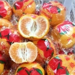 

jeruk ponkam pasar online makassar