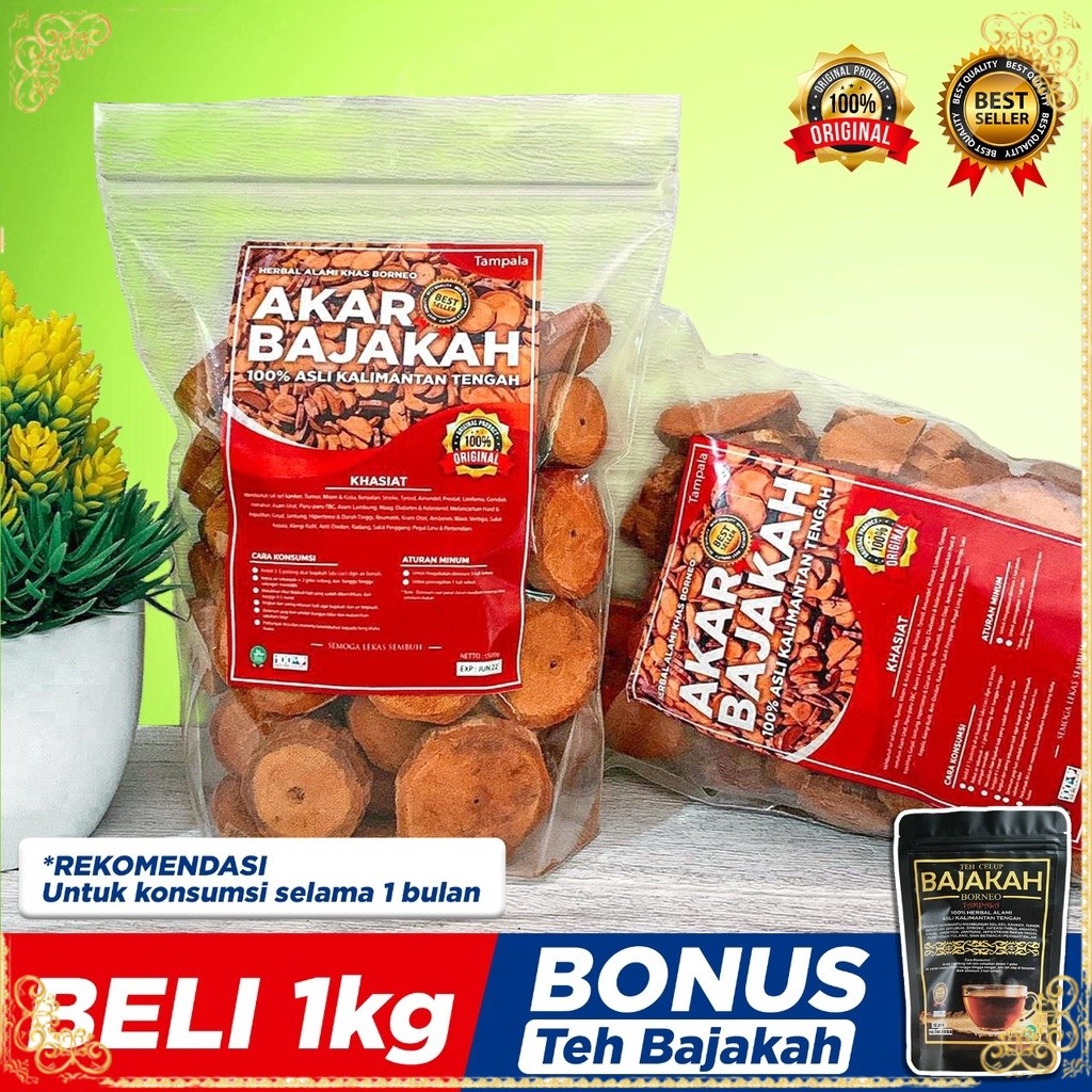 

[TERLARIS] 1Kg Akar Kayu BAJAKAH TAMPALA MERAH Siap Seduh Obat Tumor dan Kanker (100% ORIGINAL) Asli Kalimantan - BONUS 1BUNGKUS Teh BAJAKAH 0r1