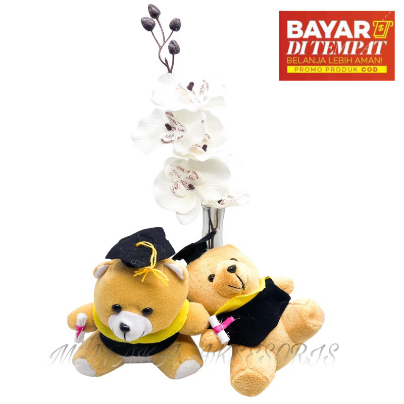 TERMURAH - BONEKA BERUANG WISUDA MINI WARNA COKLAT / BONEKA ANAK KRAKTER TEDY BEAR WISUDA / BONEKA B