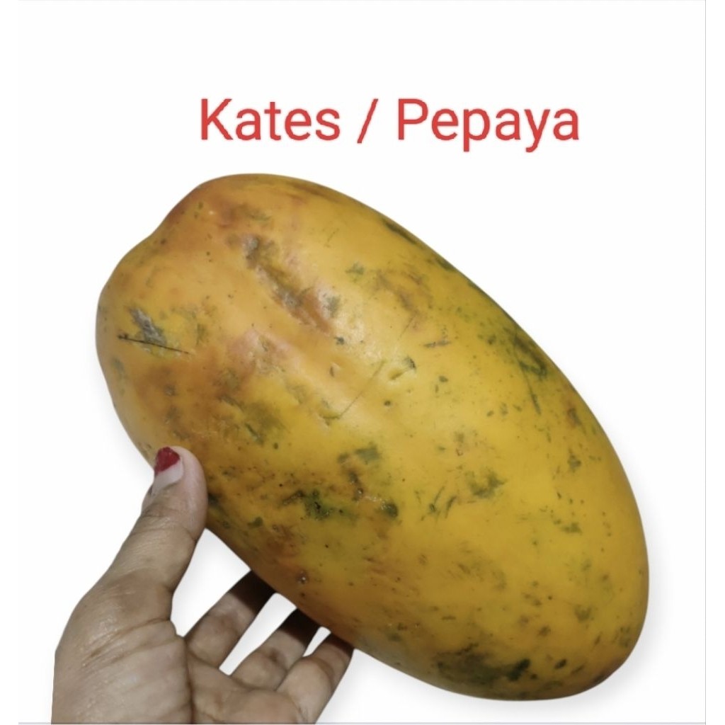 

kates / pepaya