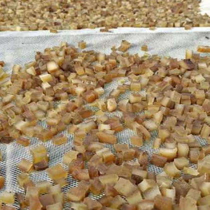 

Kerupuk Latua Kulit Sapi Mentah Latua 100% Kulit Sapi Tanpa Bahan Lain 1KG Dorokdok Jangek Krecek / Kulit Sapi Dorokdok Mentah / Pengiriman Cepat