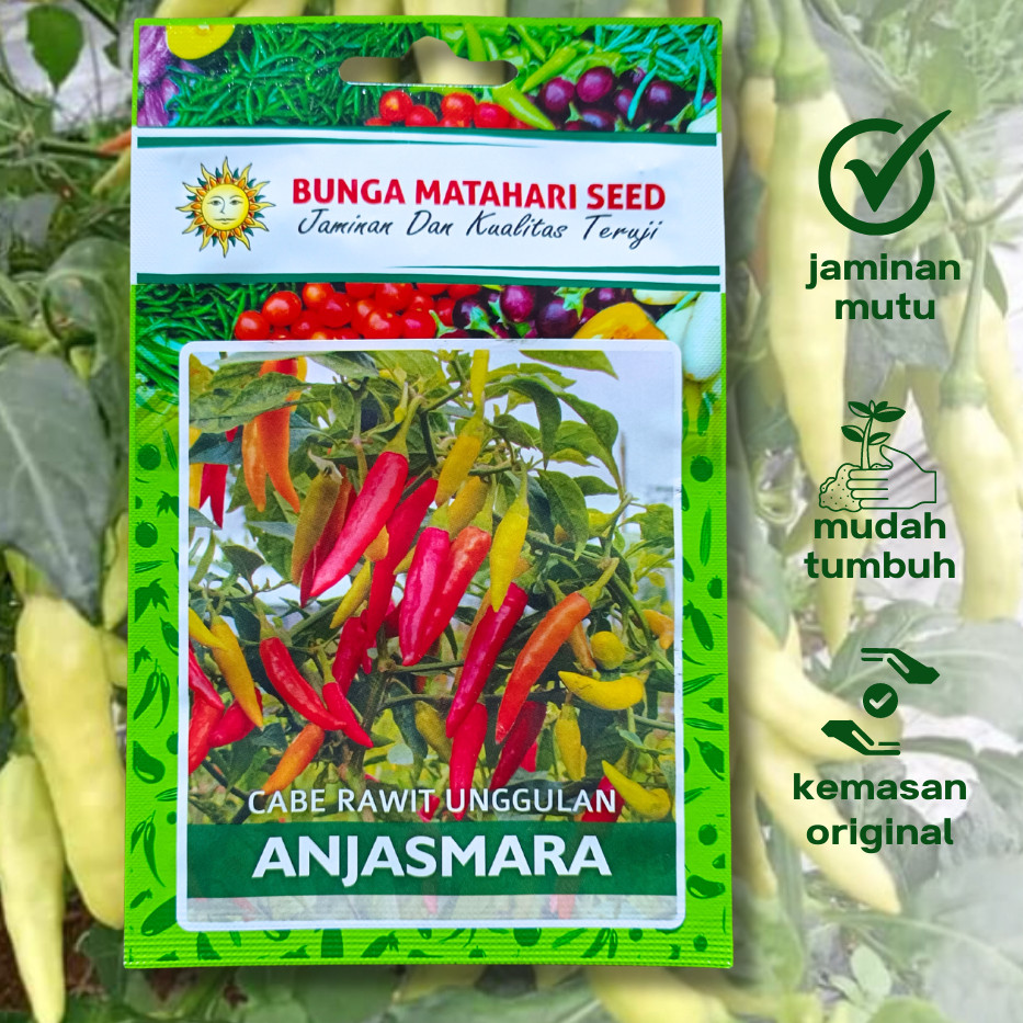 Benih SP Cabe Rawit ANJASMARA isi 200 Biji Bibit Cap Bunga Matahari Small Pouch