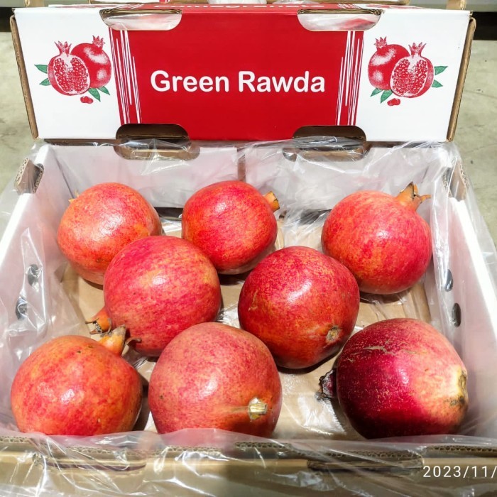

Delima mesir jumbo | Buah delima egypt fresh super Box 3,5 kg