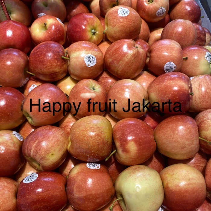 

Apel royal gala usa | apel gari royal gala import fresh 1 kg
