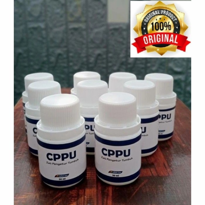 CPPU ANGGUR ZPT pembesar buah tanaman anggur