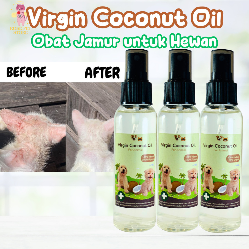 [GROSIR] VCO MURNI 100% MENGOBATI SCABIES JAMUR PADA KUCING | OBAT JAMUR SCABIES UNTUK KUCING ANJING