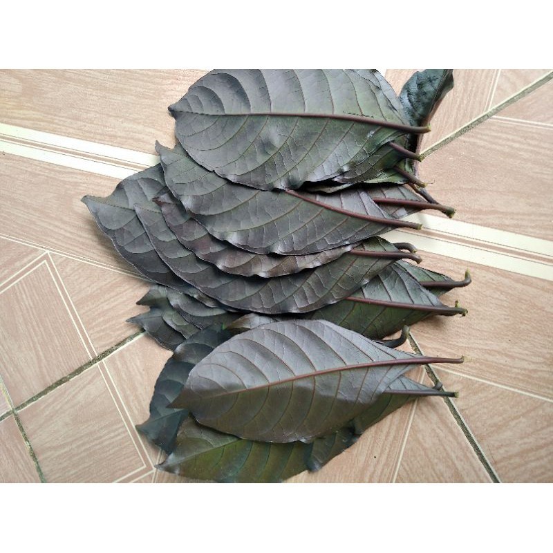 Promo daun ungu/kopi Hitam harga promo 100gram A.L_96 A.L_96