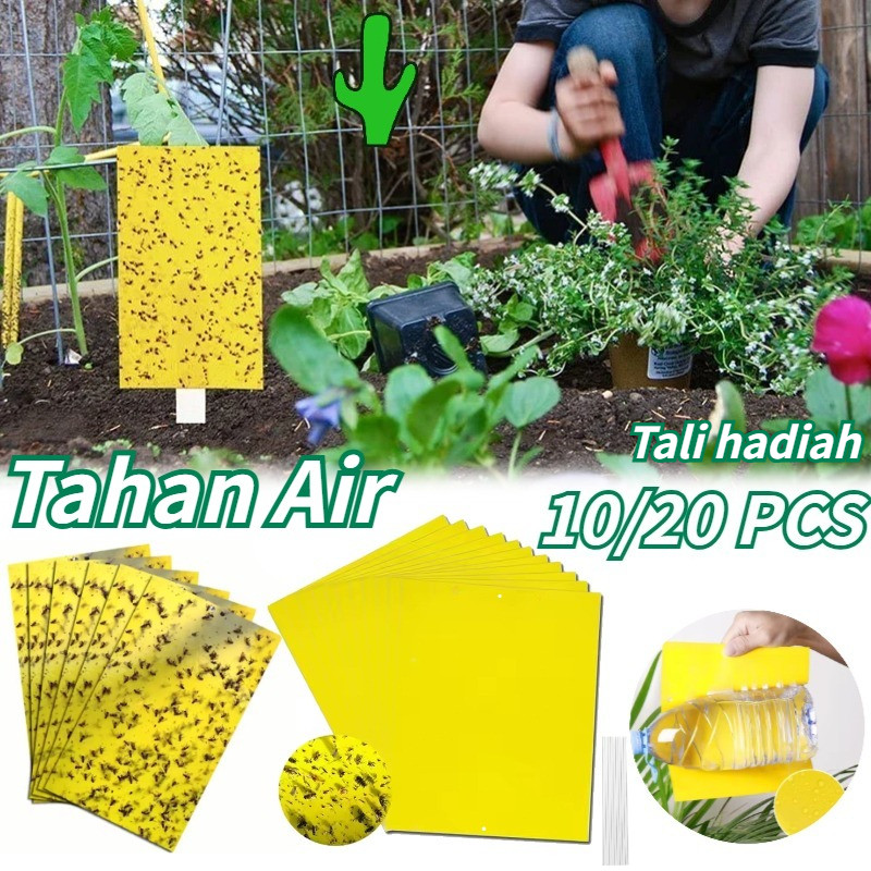 10/20pcs 20cm X 25cm Tali hadiah Perangkap Lalat Buah Yellow Trap Likat Kuning Yellow Trap Perangkap