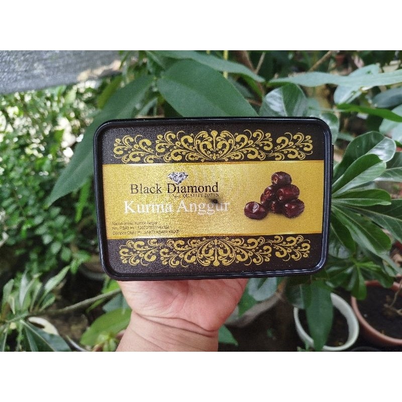 

Black Diamond Kurma Anggur Kemasan 550gram