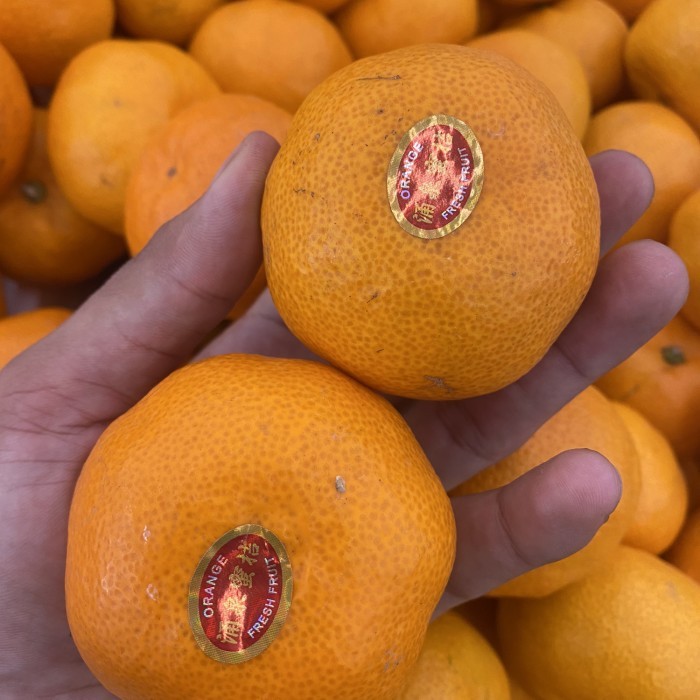 

Promo jeruk mikam mandarin fresh lembut banyak air 1 kg