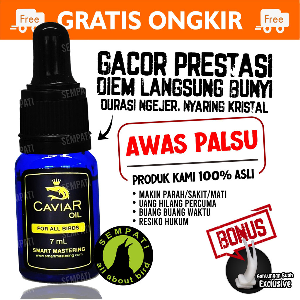 SEMPATI Caviar Oil Smart Mastering Vitamin Burung Kontes Lomba Luxurious Suplemen Doping Premium Oba