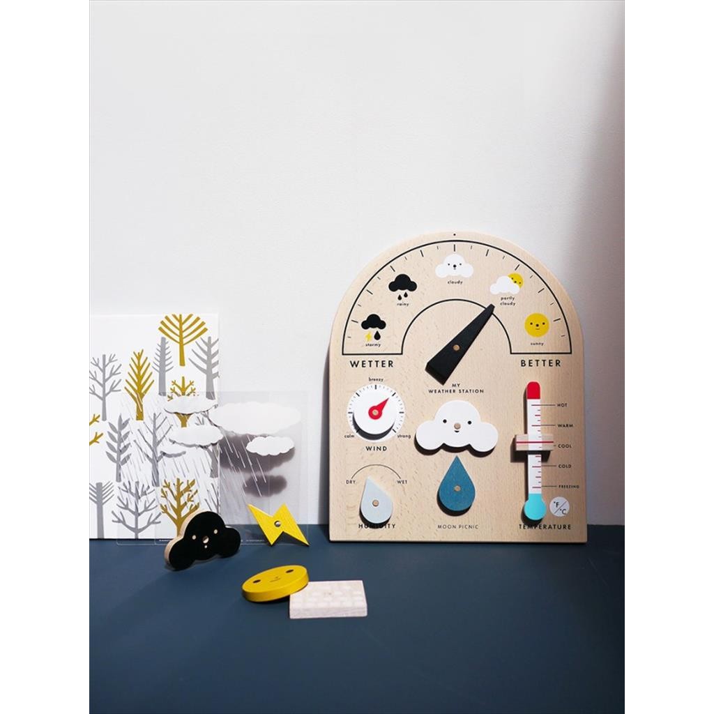 Moon Picnic Weather Station