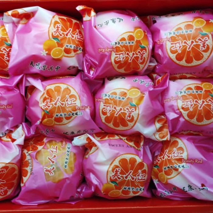 

Jeruk al ven gift Box | Buah jeruk Al Ven Box 3,5 kg