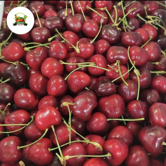 Cherry Red sweet | Buah ceri merah | cherry Red USA fresh 250grm