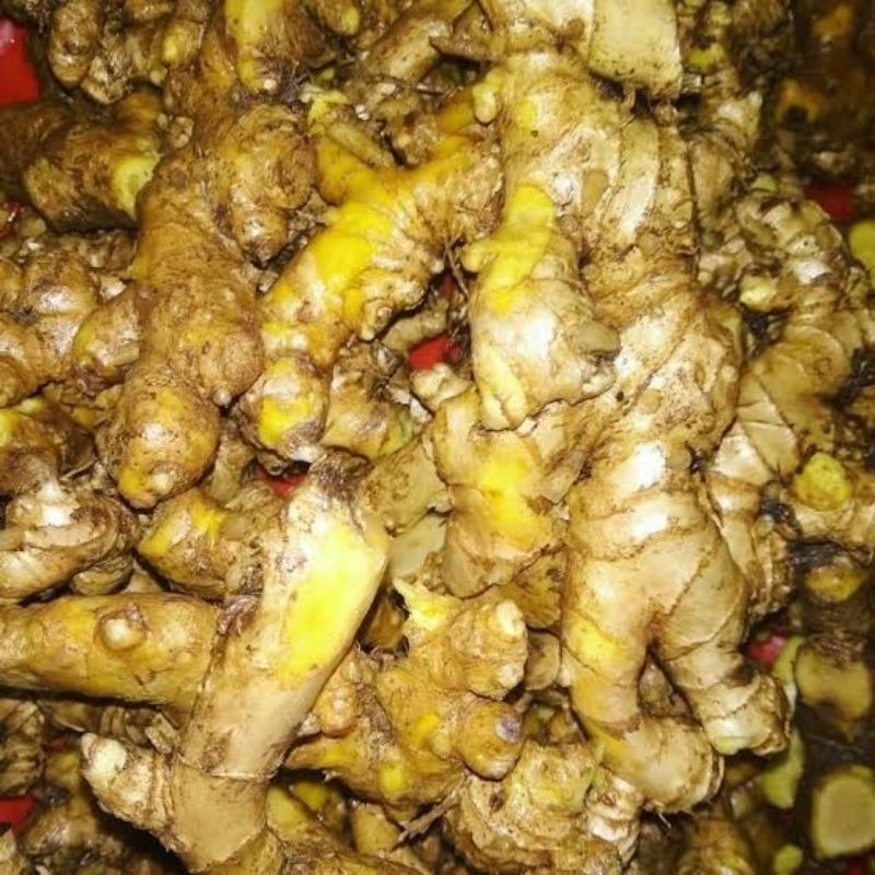 

Lempuyang emprit wangi segar organik 1kg