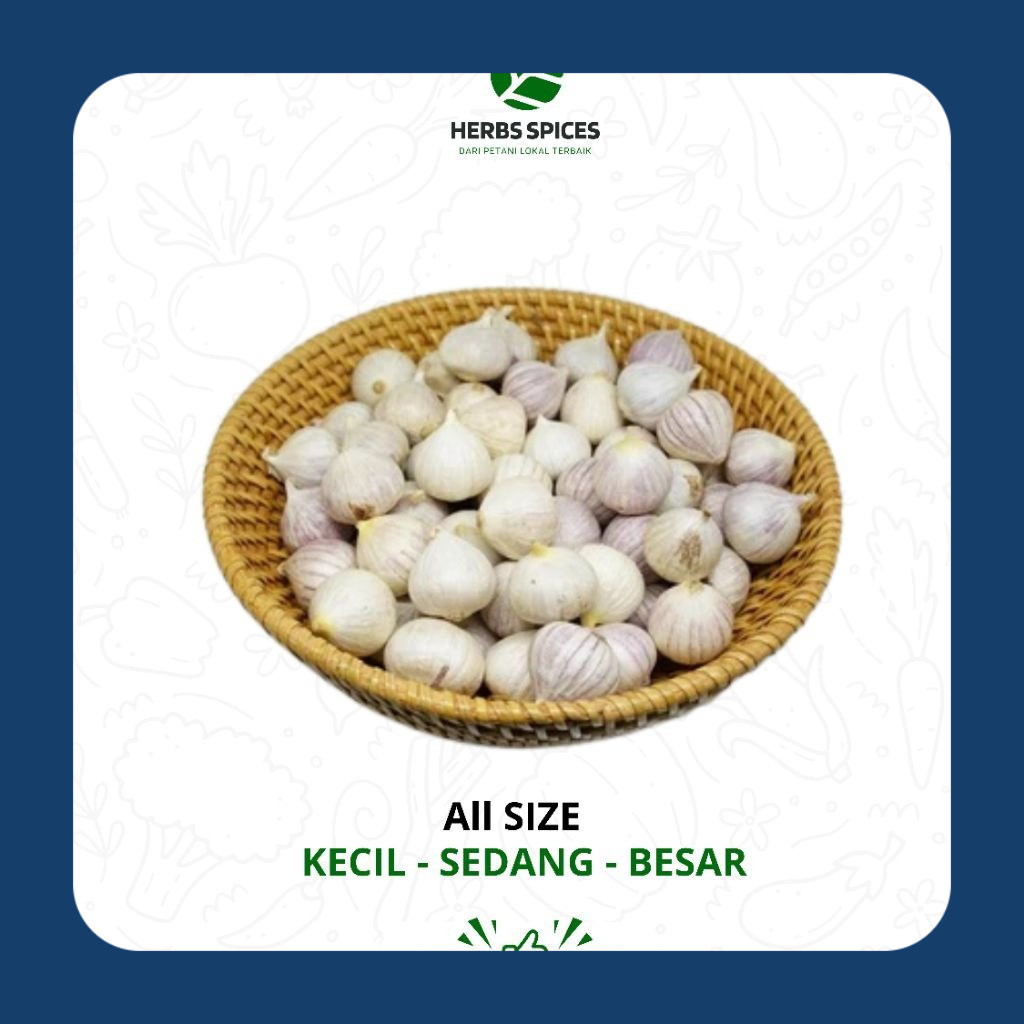 

Bawang putih tunggal import | Bawang putih lanang | Bawang tunggal lanang herbal Super Premium Quality - Herbsspice