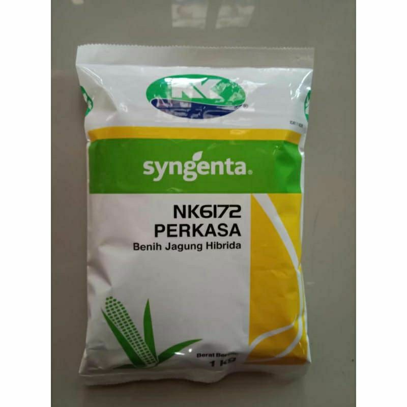 sf53er Benih JAGUNG HIBRIDA NK 6172 PERKASA 1KG #bibit jagung#jagung perkasa#bibit nk perkasa#bibit 